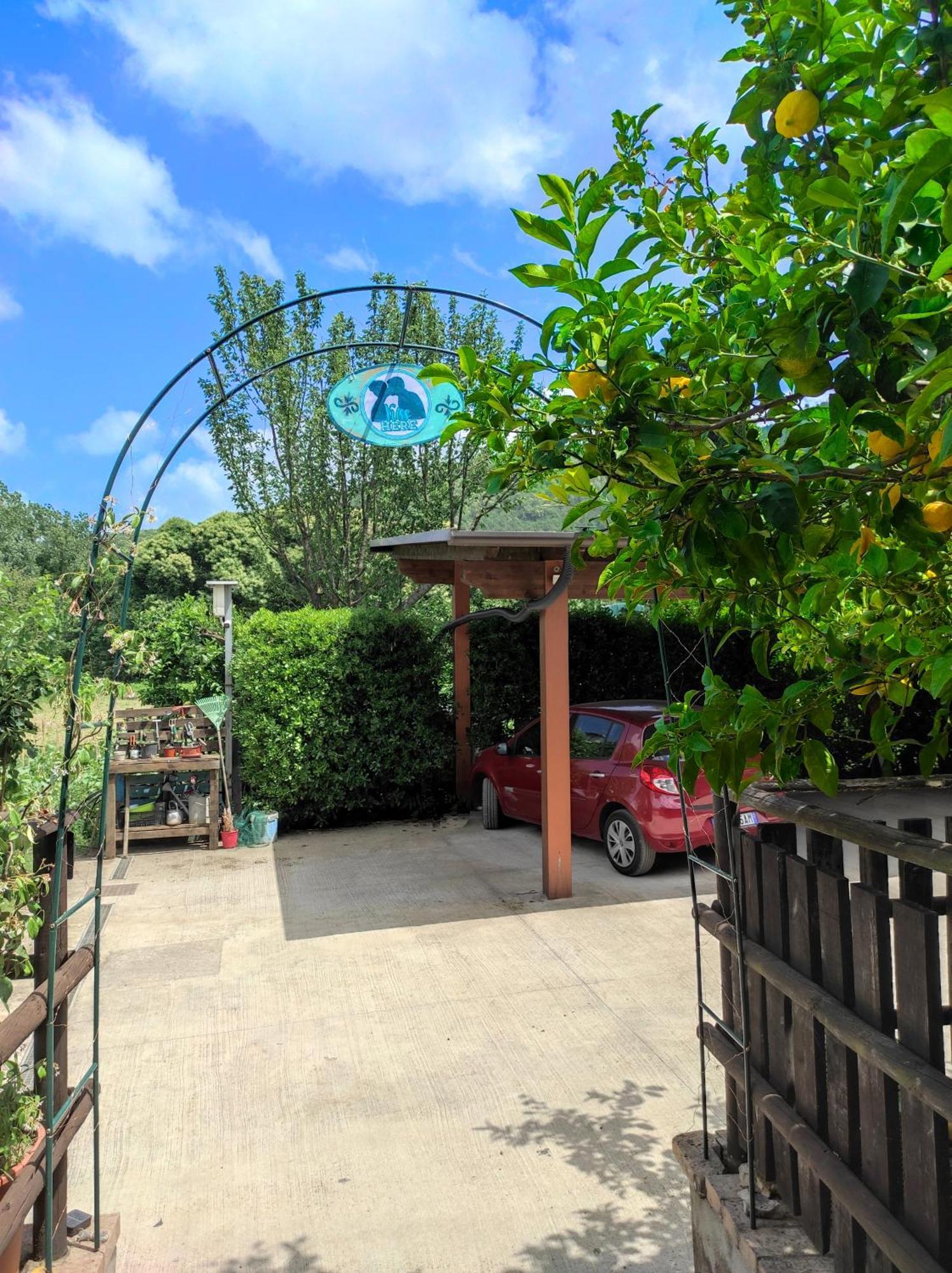 מרקטו סן סברינו Caledonia B&B מראה חיצוני תמונה