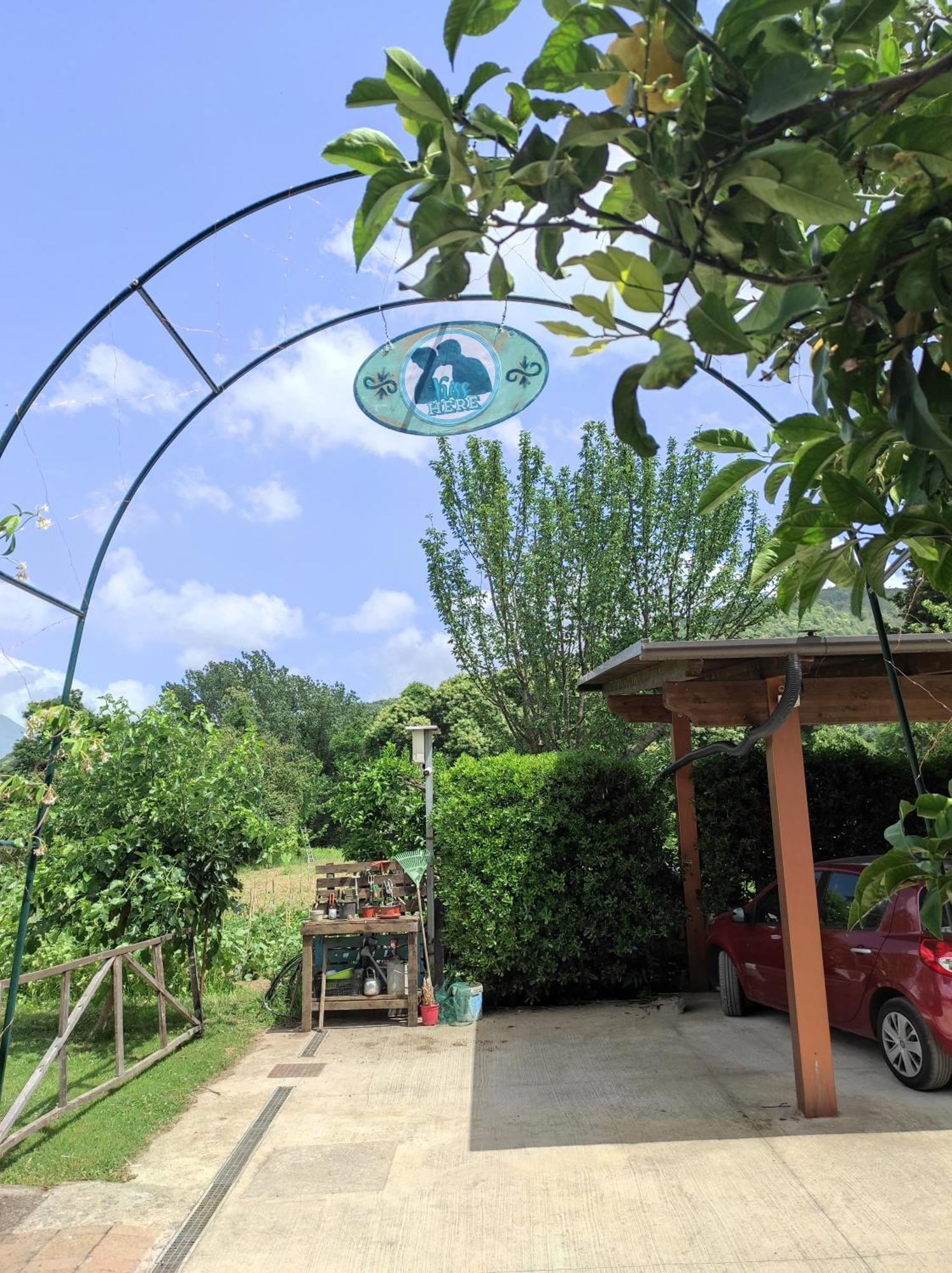 מרקטו סן סברינו Caledonia B&B מראה חיצוני תמונה